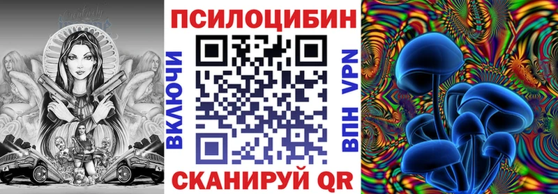 закладки  Канаш  mega маркетплейс  Псилоцибиновые грибы GOLDEN TEACHER 