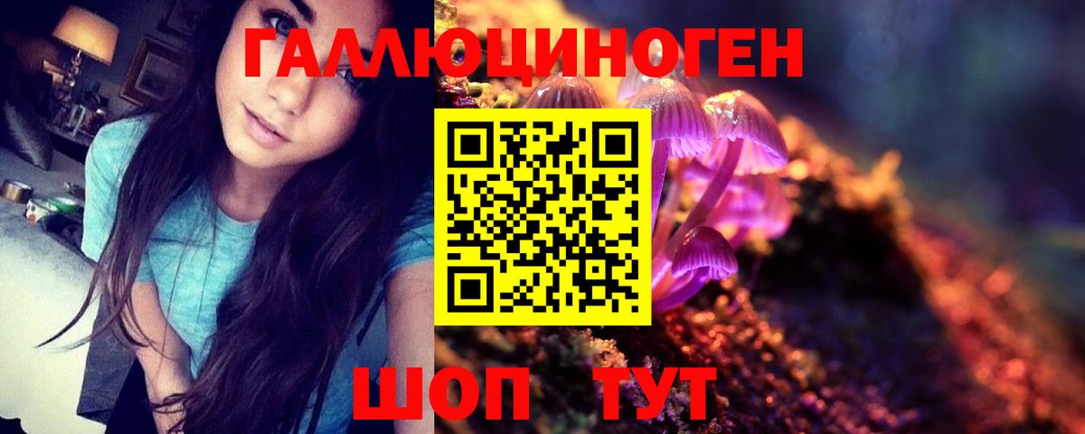 Канаш  Галлюциногенные грибы MAGIC MUSHROOMS  Вход с VPN 